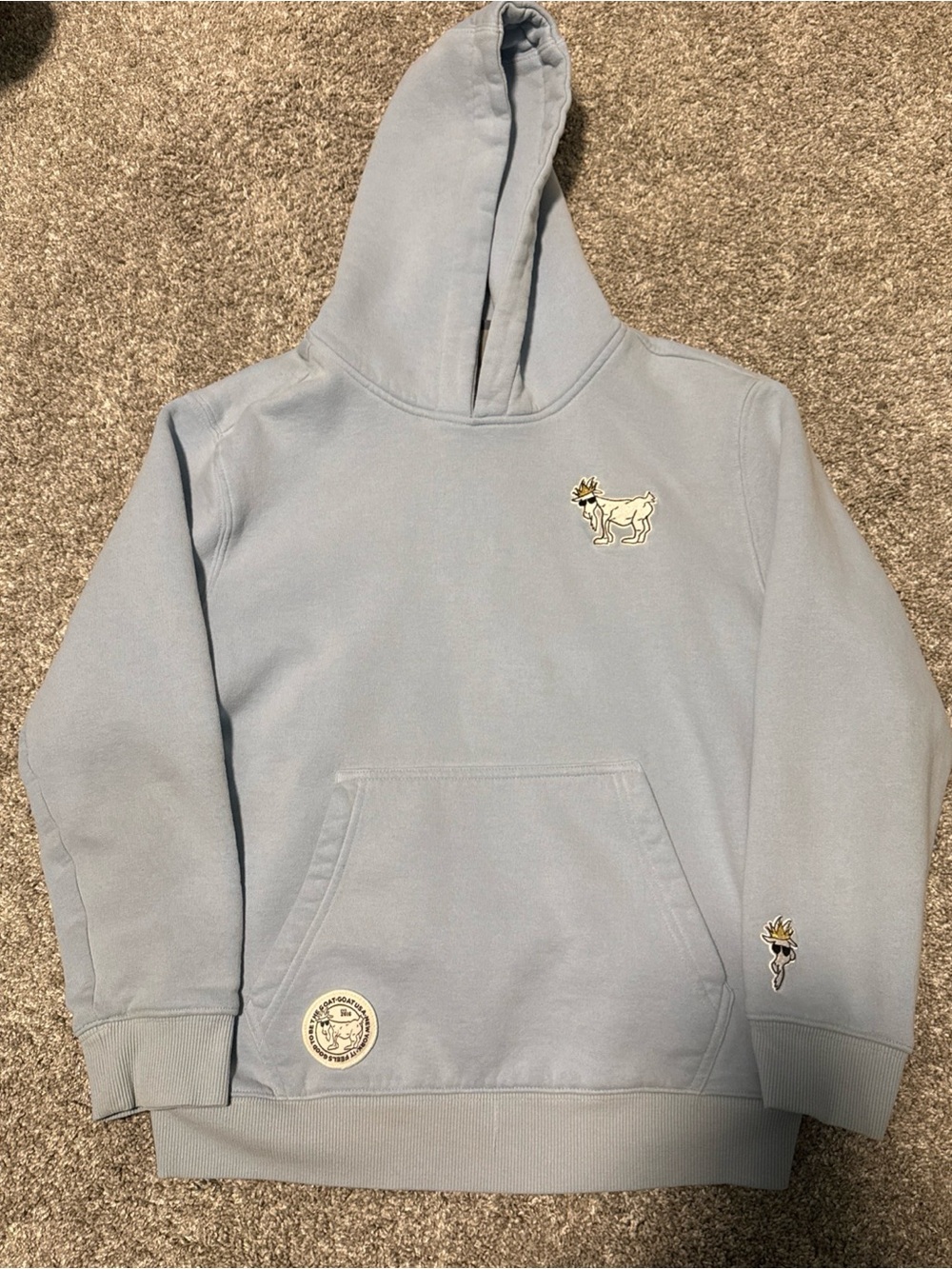 GOAT USA Unisex Kids Light Blue Pullover Hoodie with Embroidered Animal Youth XL